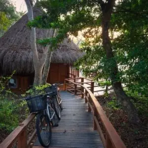 Passeio de bicicleta pela ilha Baru