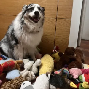 Caixinha pra Kayla ganhar um irmãozinho