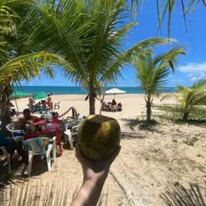 Água de coco à vontade na praia